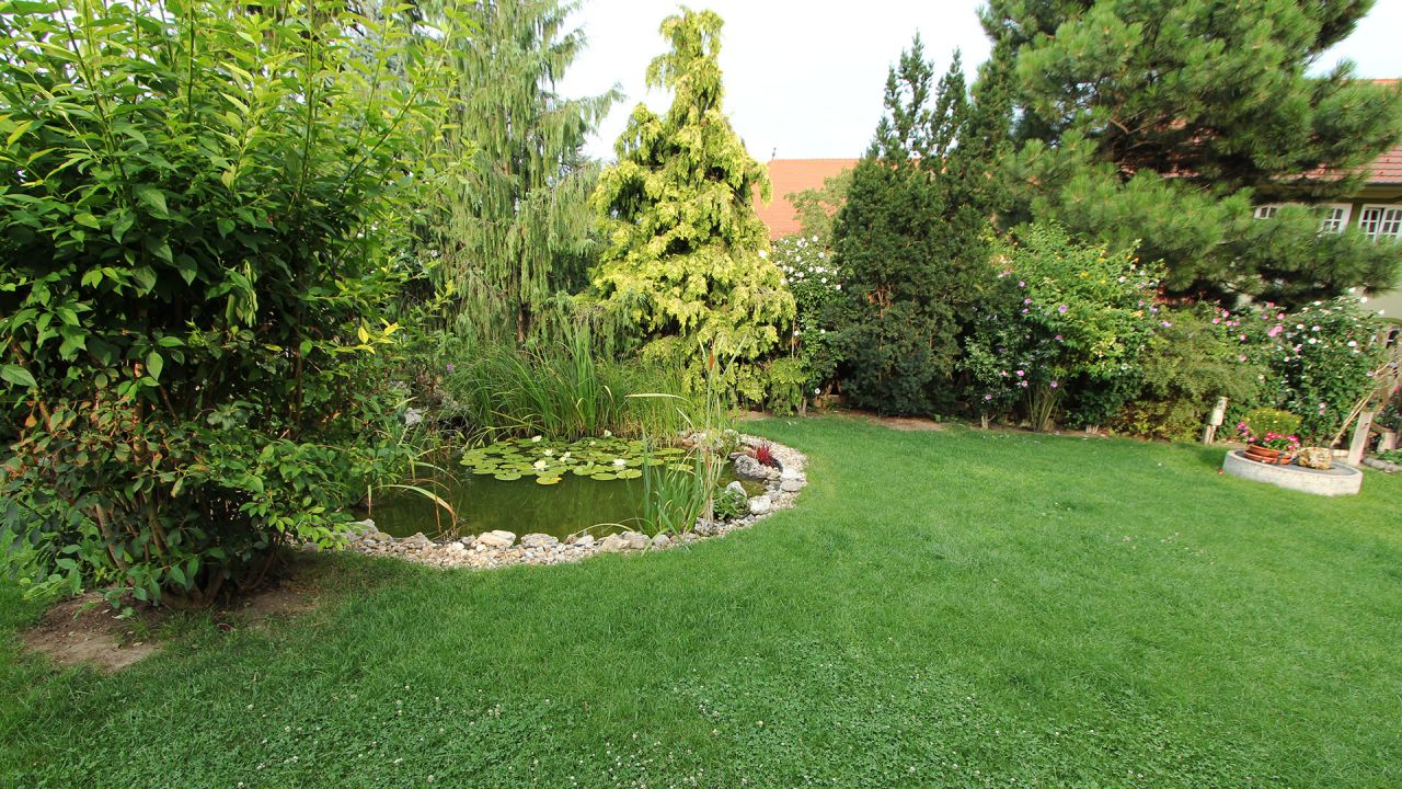 (AA) Single-family house with separate business premises in the center – Keszthely, photo 2 of 16