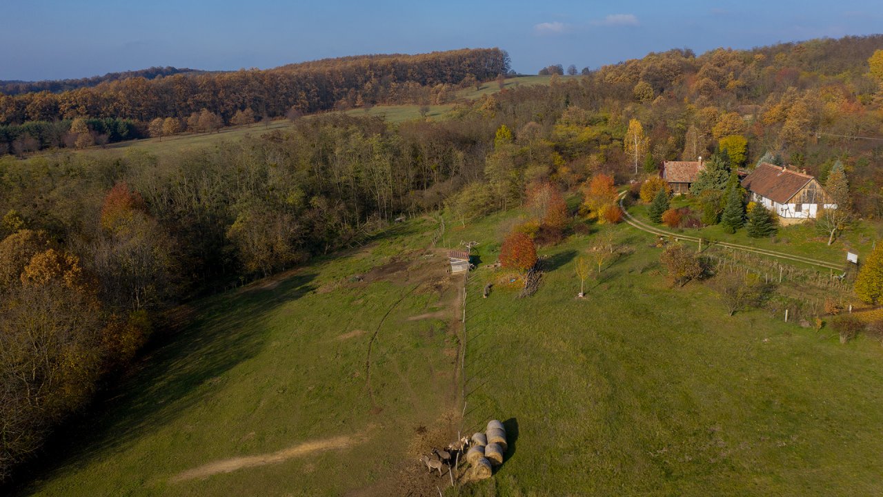 (AAA) Mesebeli farm hagyományos stílusban, félreeső helyen – bei Zalacsány, 5/23. kép