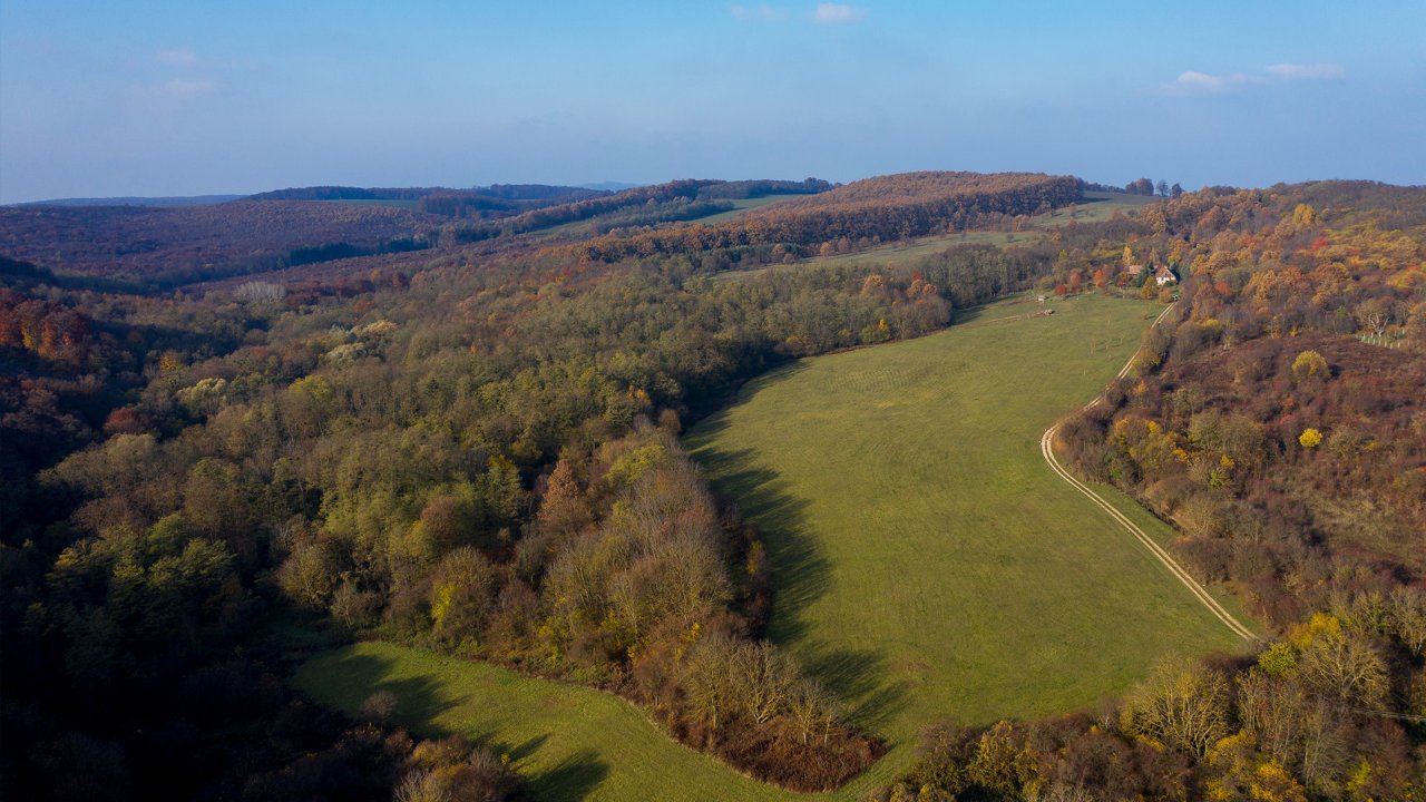 (AAA) Mesebeli farm hagyományos stílusban, félreeső helyen – bei Zalacsány, 7/23. kép