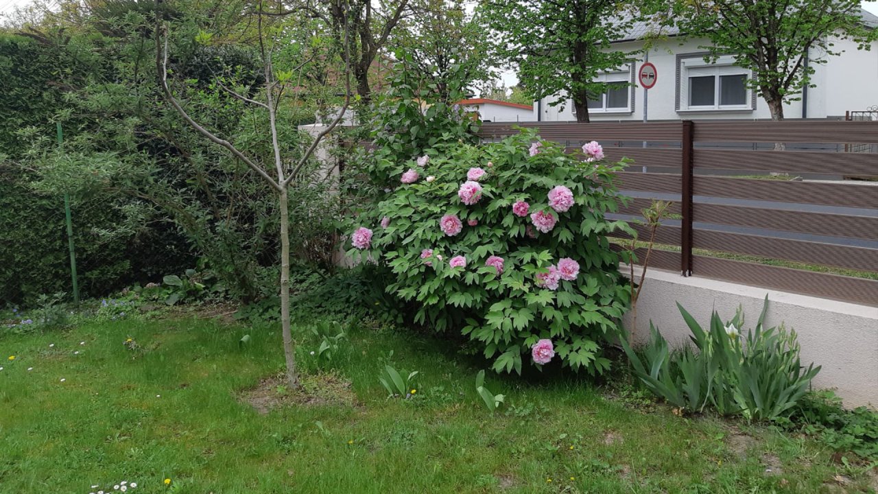 (AAA) Einfamilienhaus mit Pool in ruhiger Straße von Héviz – Hévíz, Bild 6 von 33