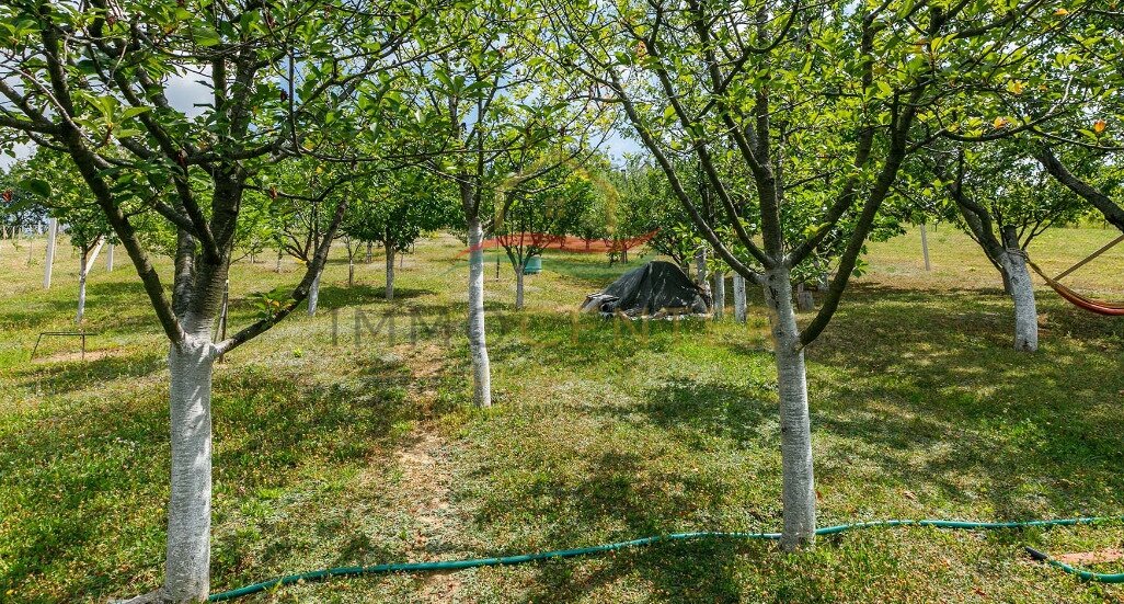 (AAA) Landhaus in ruhiger Weinberglage bei Tapolca – Lesencetomaj, Bild 16 von 45