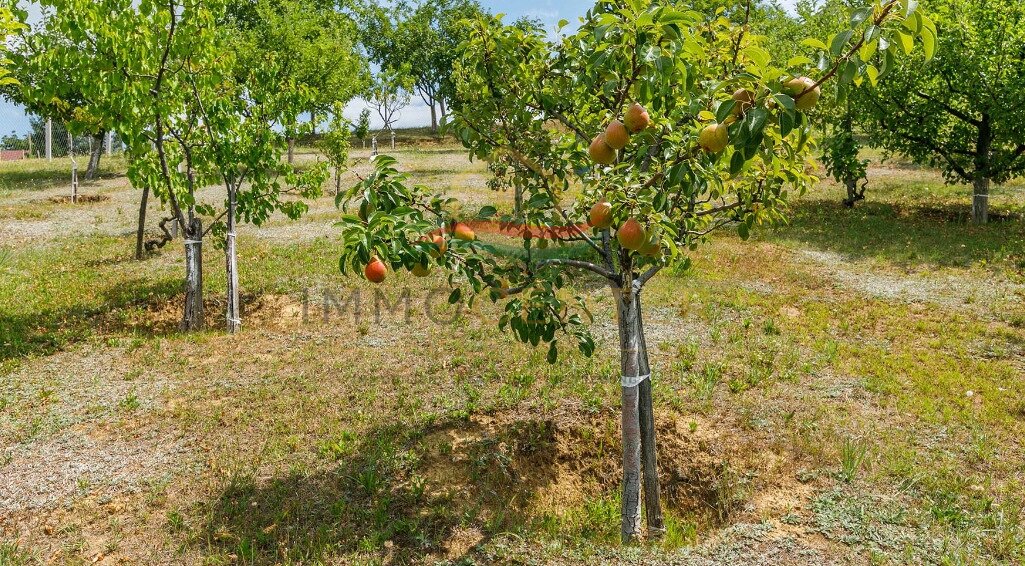 (AAA) Landhaus in ruhiger Weinberglage bei Tapolca – Lesencetomaj, Bild 17 von 45