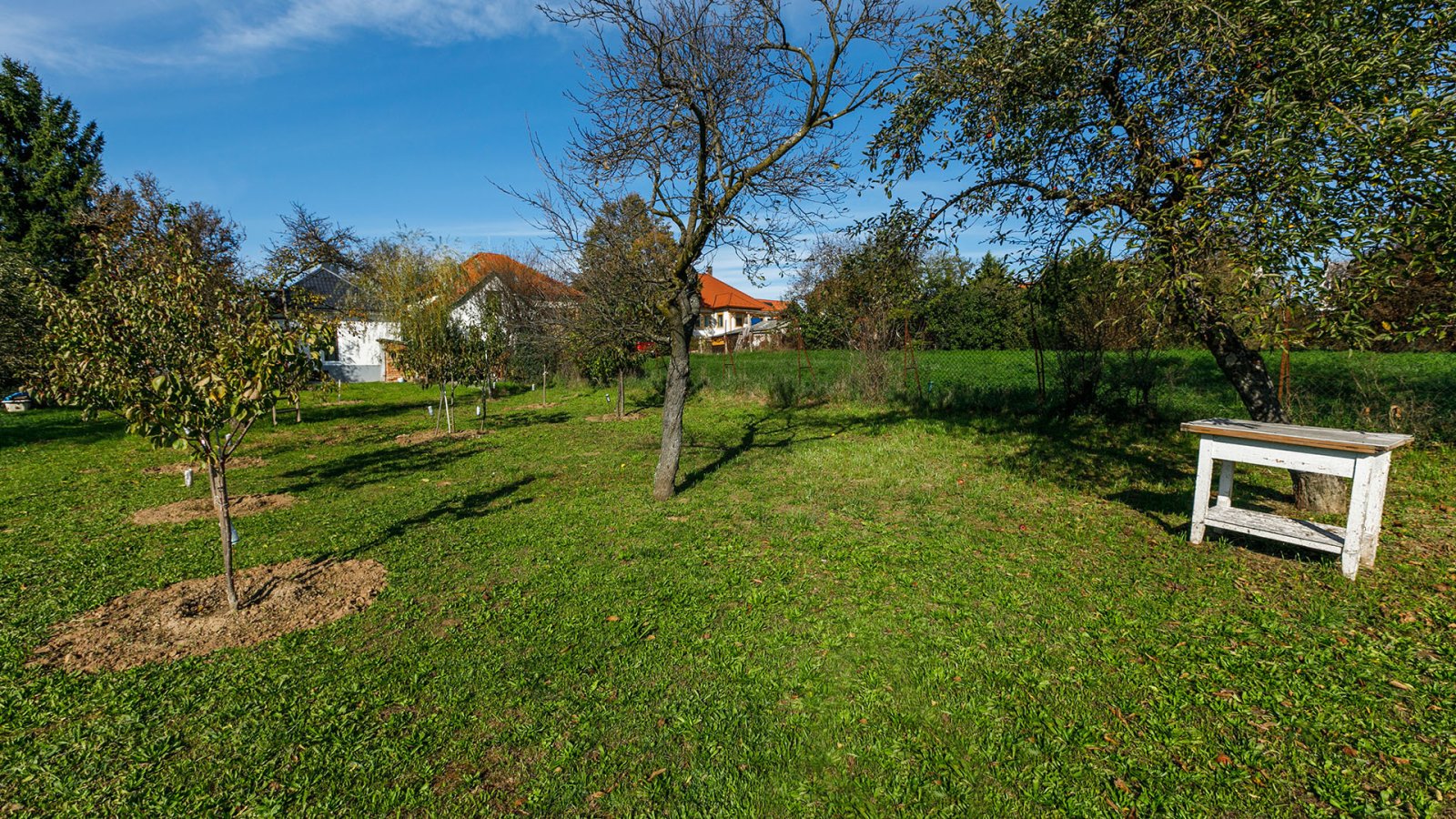 Detached house in the world-famous Hungarian spa town of Hévíz (AAA), photo 13 of 41