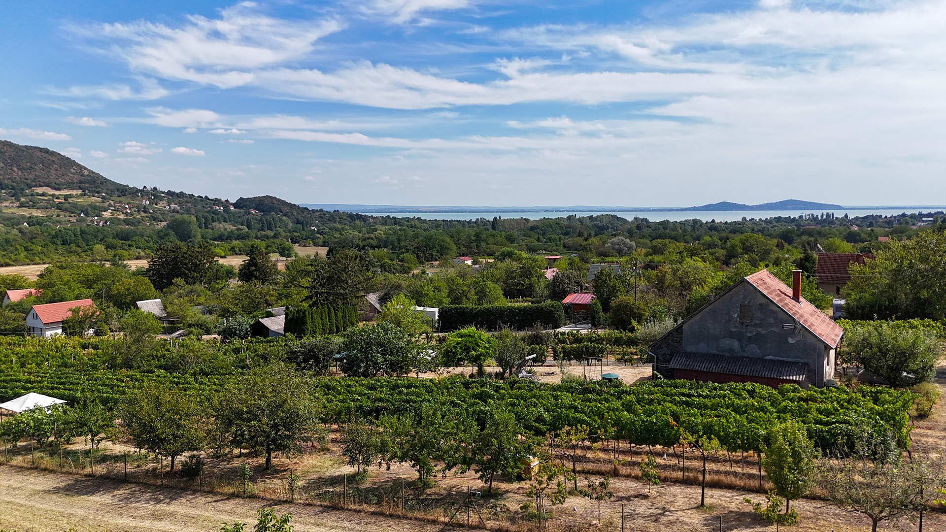 (AAA) Exklusives Anwesen in Badacsony mit unverbaubarem Balaton-Panorama – Badacsonytomaj, foto 3 van 27