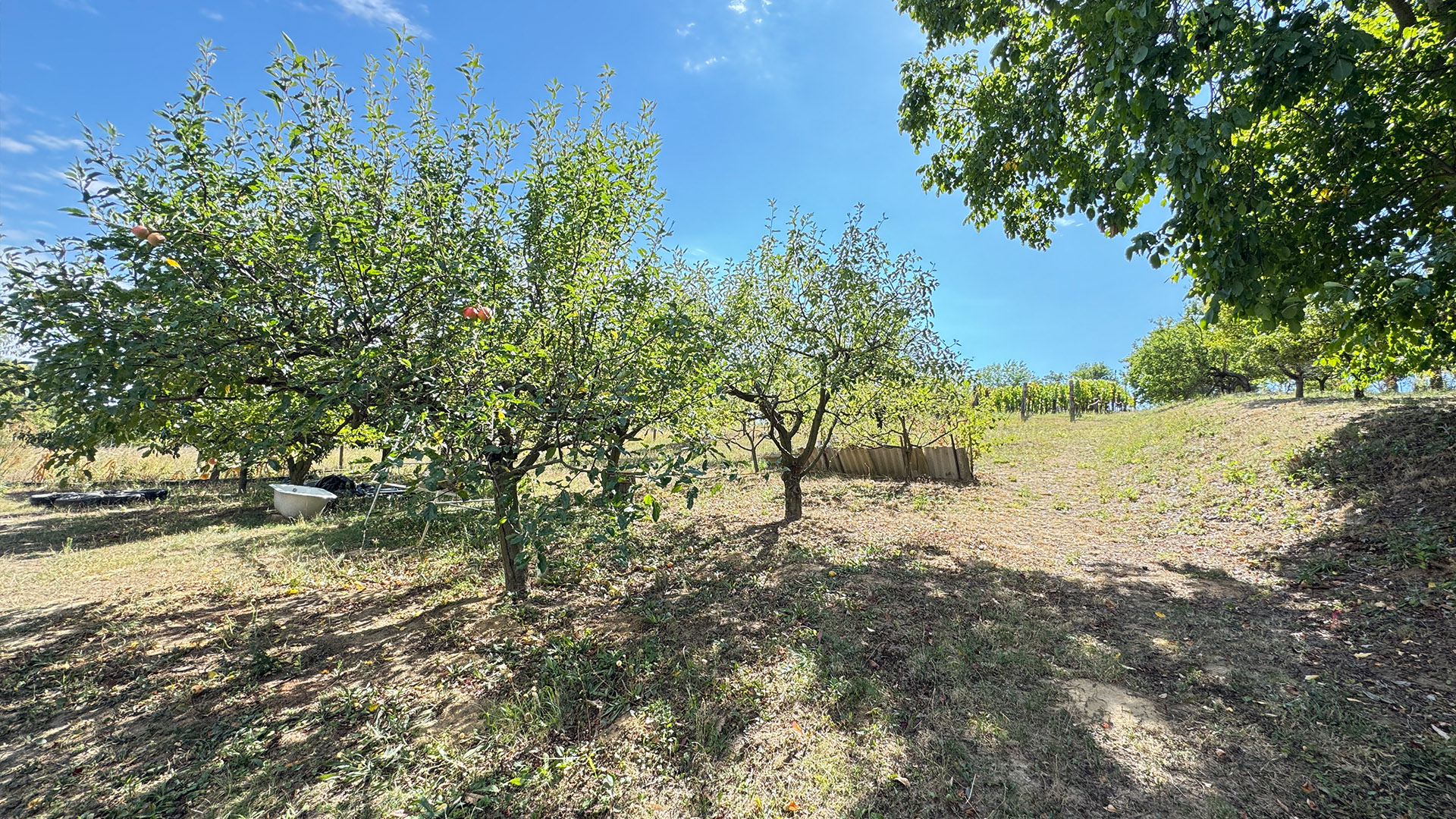 (BBA) Ruhe in der Natur und dennoch stadtnah – Immobilie am Weinberg von Marcali, photo 4 of 32