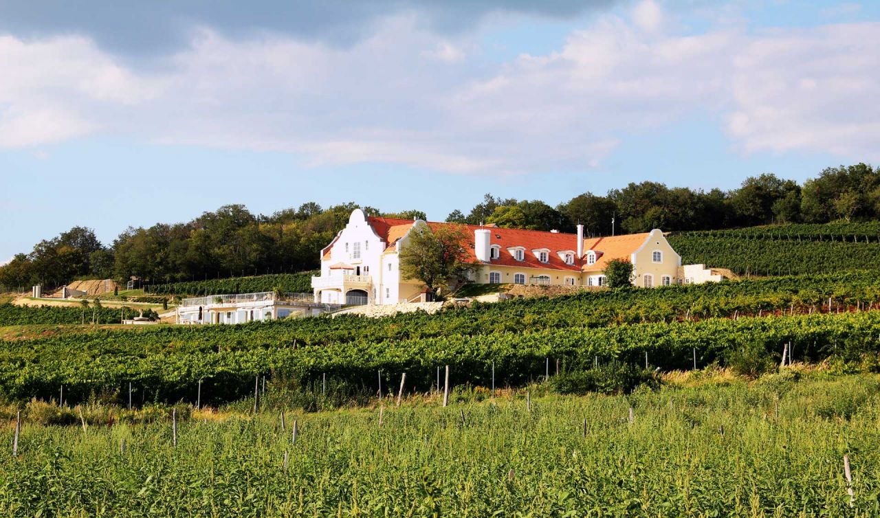 (AA) Außergewöhnlich: Exclusives Weingut & First-Class Hotel oberhalb des Plattensees – Monoszló, Bild 3 von 31