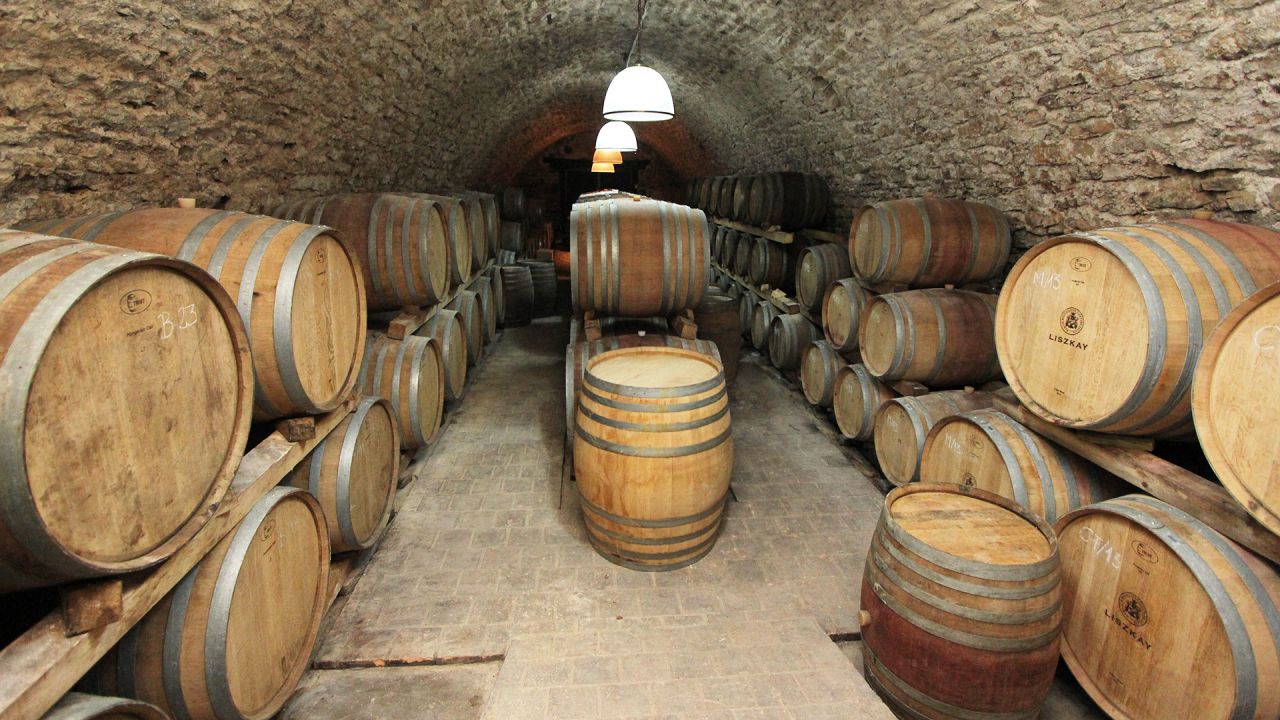 (AA) Außergewöhnlich: Exclusives Weingut & First-Class Hotel oberhalb des Plattensees – Monoszló, Bild 27 von 31
