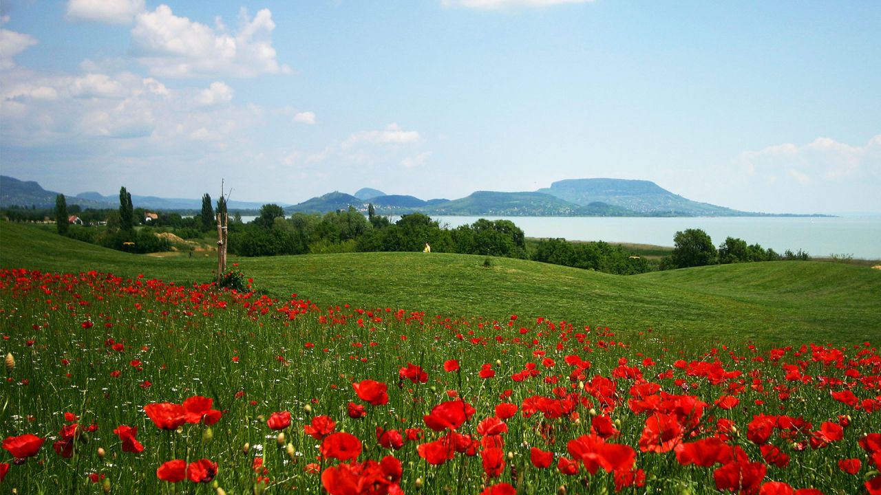 (A-) ingatlan golfpályával, stranddal, építési engedély rendelkezésre áll – Balatongyörök, 7/10. kép