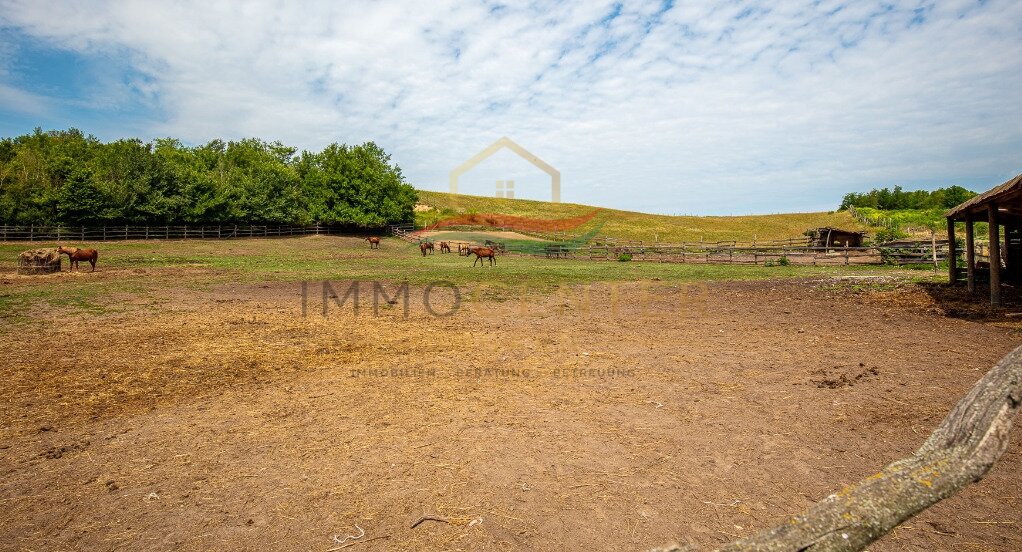 (AAA) Exclusief paardenobject met panoramisch uitzicht nabij Siófok aan het Balatonmeer – Balatonendréd, foto 11 van 19
