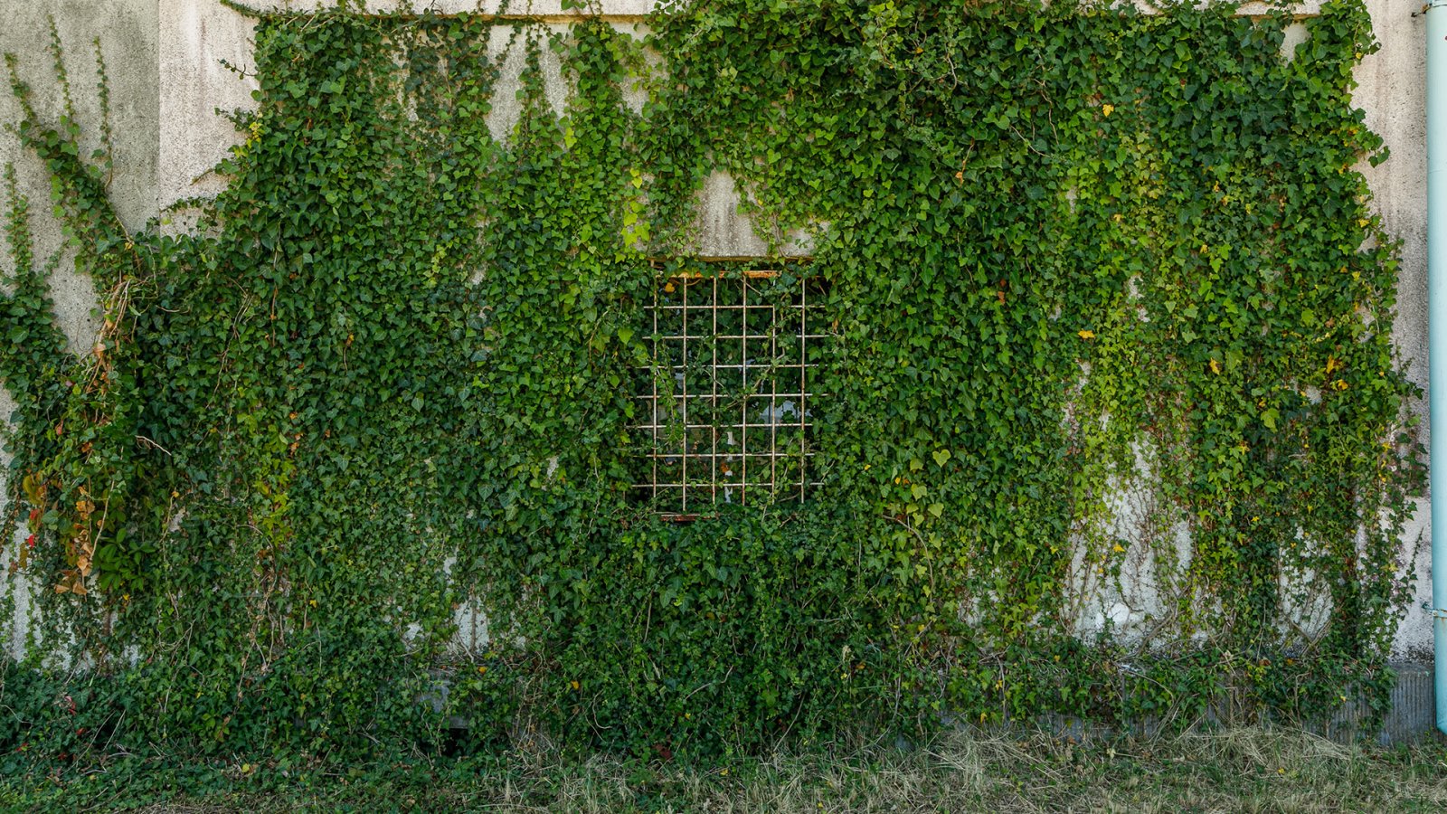 Historische villa aan de rand van het Balatonmeer wil uit zijn slaap ontwaken (ACA) – Cserszegtomaj, foto 11 van 25