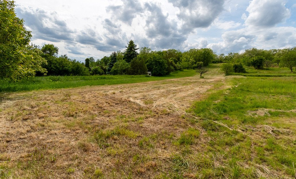 Vineyard house in a quiet location, with large grounds – Rezi, photo 10 of 13