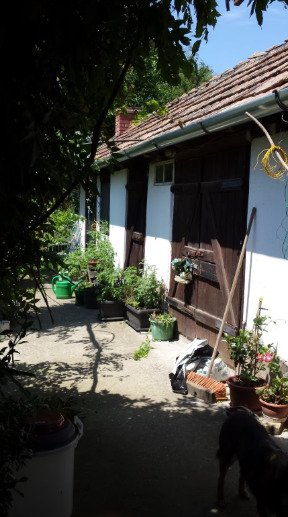 Családi ház csendes, családias környezetben – Mesztegnyő, 5/15. kép