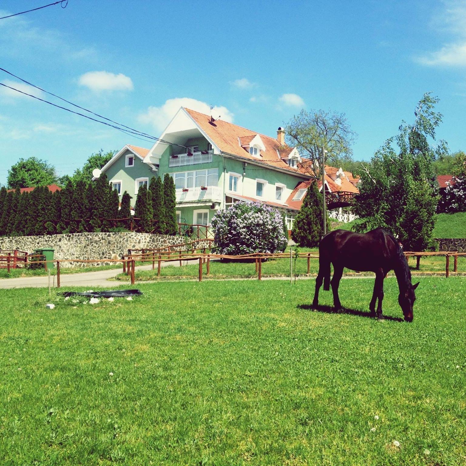 n, Bild 2 von 15