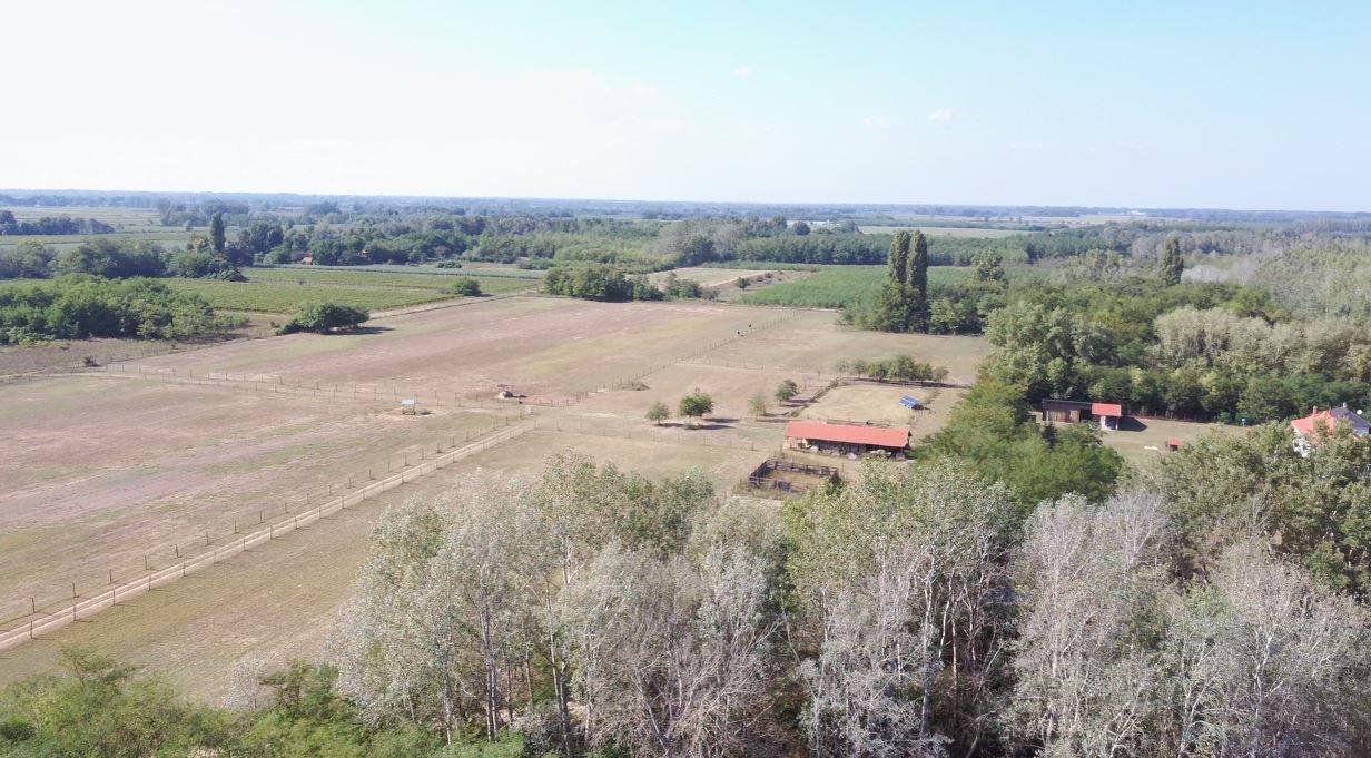Boerderij met 3 woningen en bijgebouwen en 8,3 hectare grond – Kaskantyu, foto 10 van 31