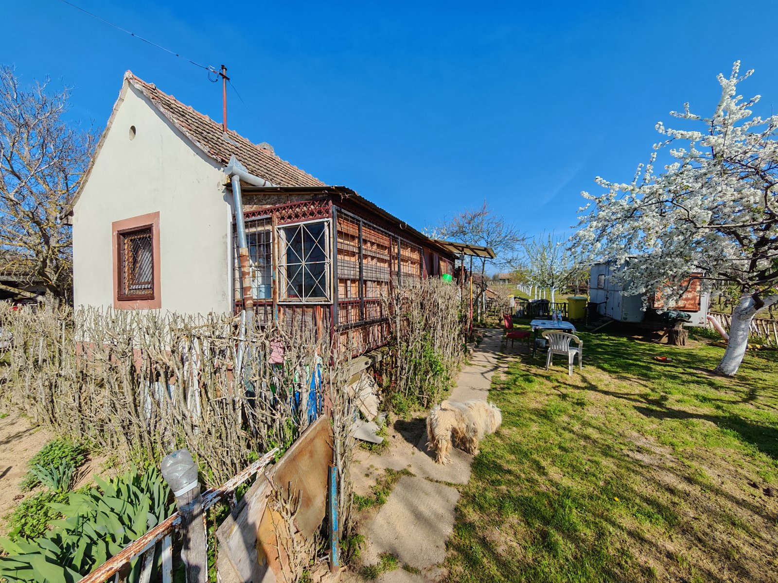 Wijngaardhuis op een rustige locatie – Marcali, foto 1 van 9