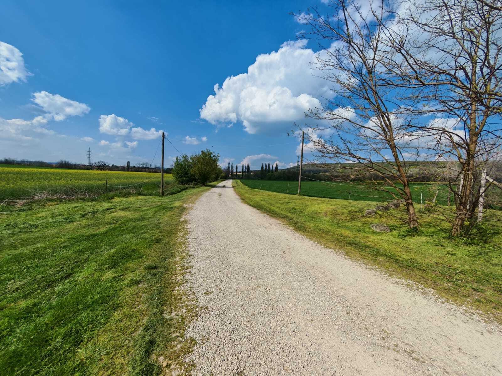 Landbouwgrond geschikt voor diverse doeleinden – Vállus, foto 5 van 38