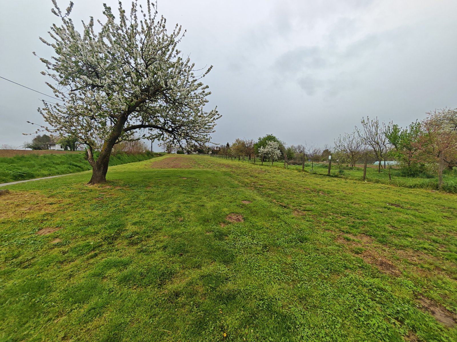 Detached house in a quiet, family-friendly area – Gadány, photo 16 of 17