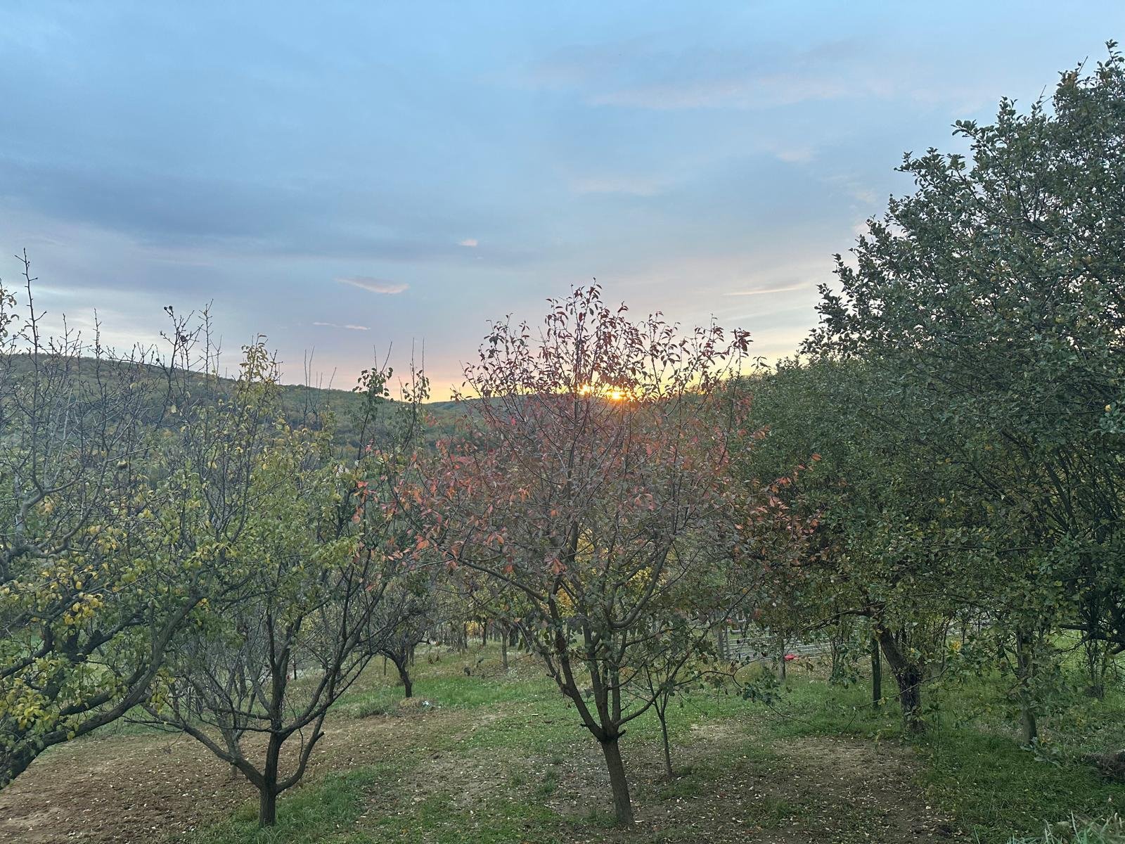 (AAA) Luxurious country house with panoramic views amidst the hills of Zala – Zalaszentgrót, photo 8 of 40
