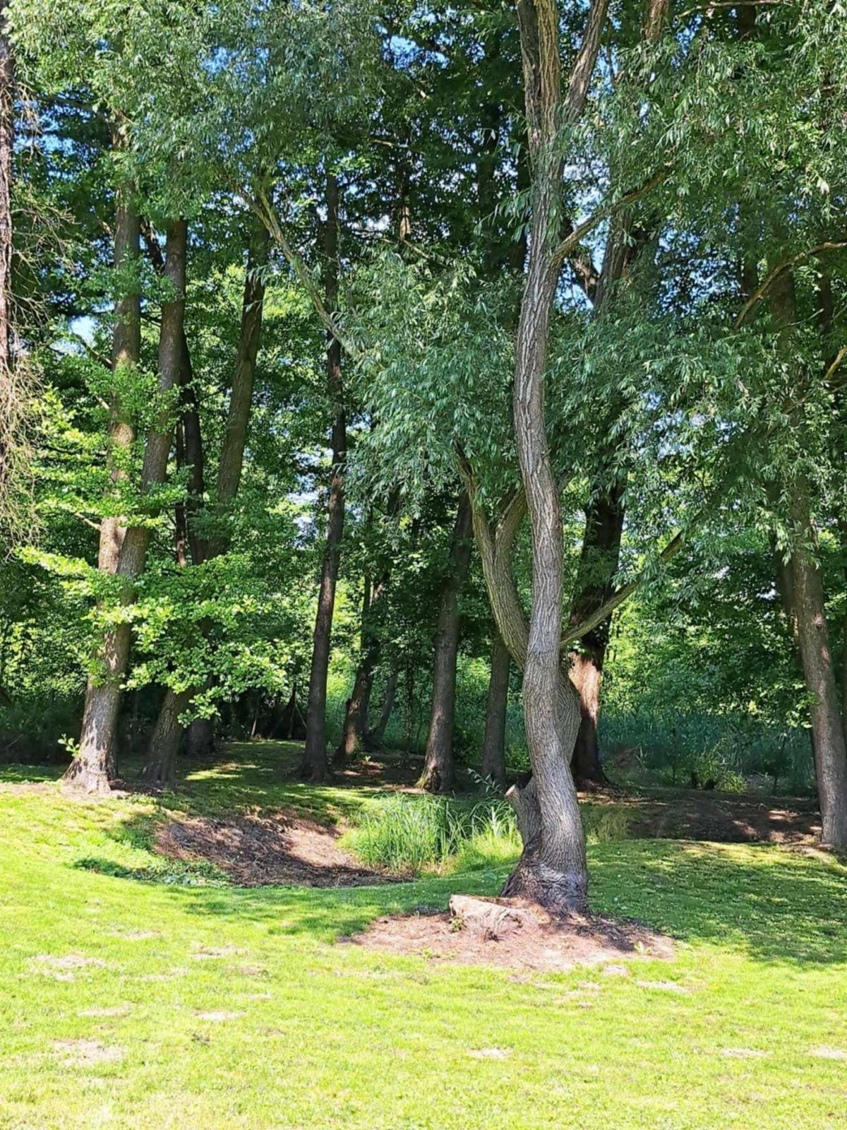 (AAA) Familienpension in der Nähe des Thermalbads – Kehidakustány, Bild 33 von 33