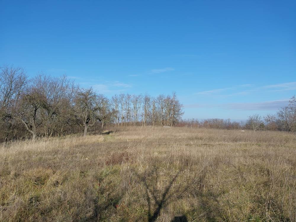 fenced garden plot – Bársonyos, photo 1 of 9