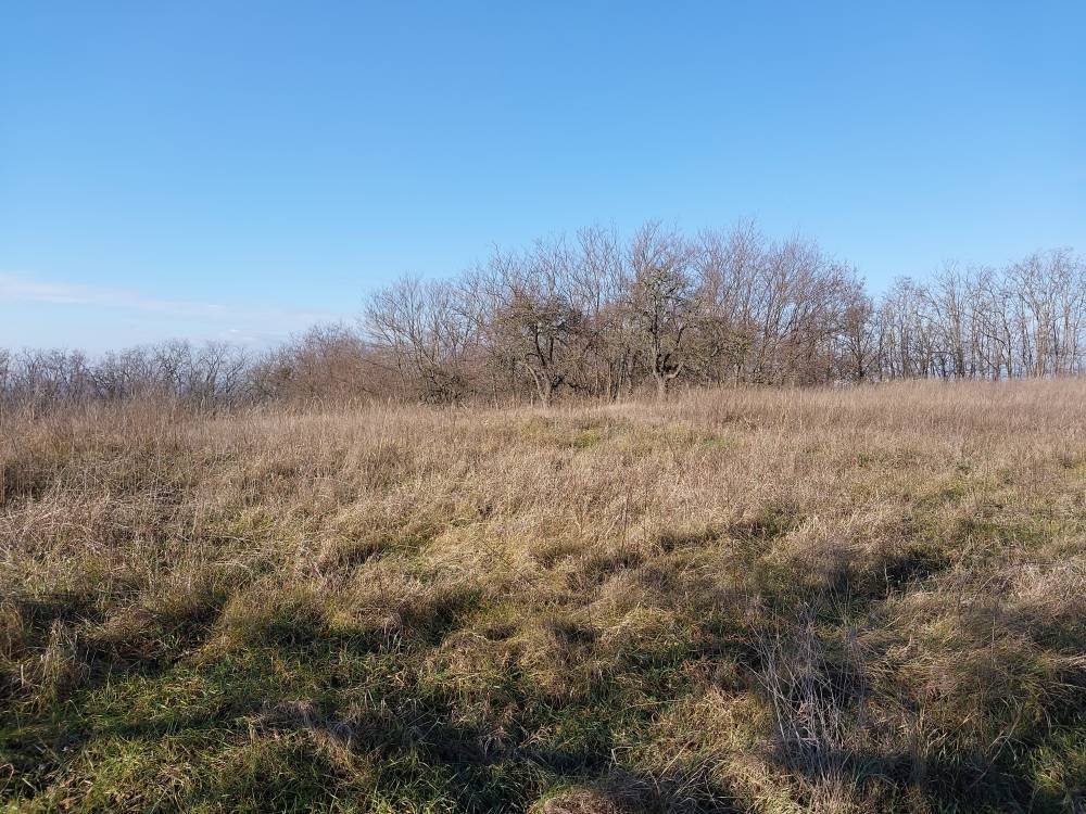 fenced garden plot – Bársonyos, photo 3 of 9