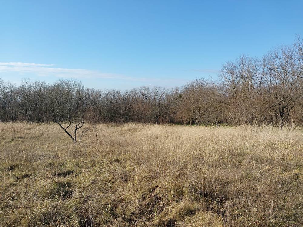 fenced garden plot – Bársonyos, photo 4 of 9