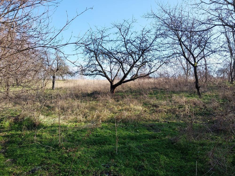 fenced garden plot – Bársonyos, photo 5 of 9