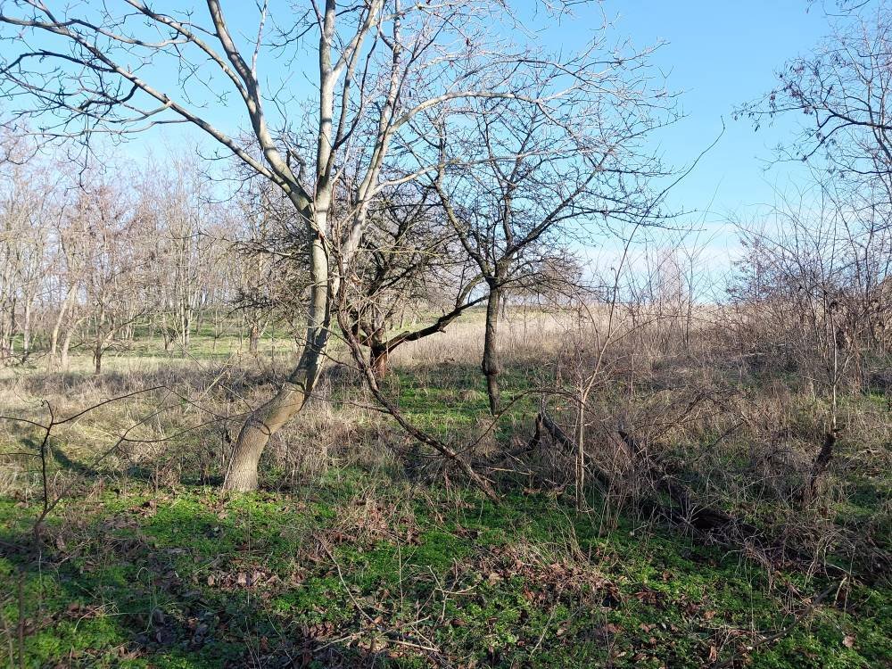 fenced garden plot – Bársonyos, photo 7 of 9