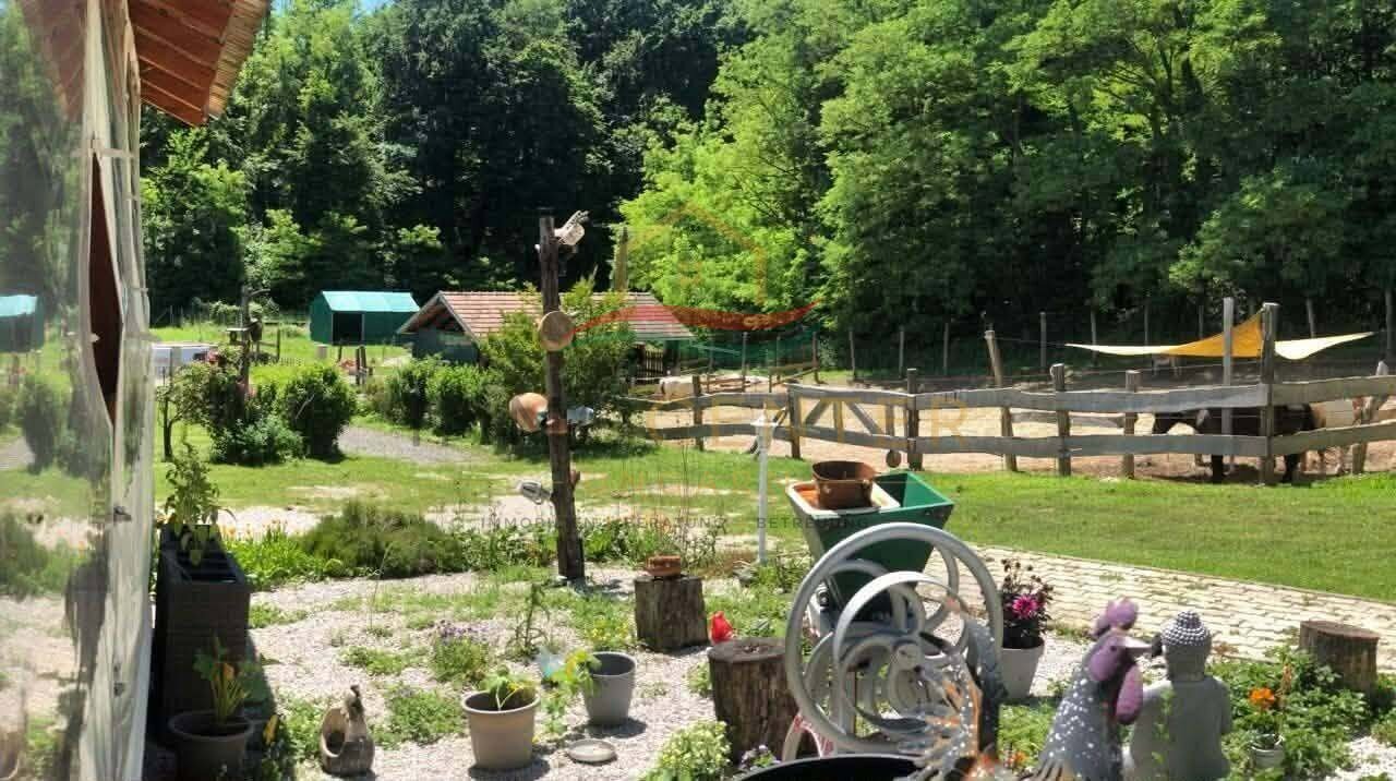 (BAA) Wonderfully quiet location, ideal for keeping animals – bei Lenti, photo 8 of 21