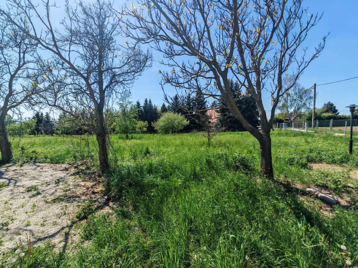 Double plot of land with views of Lake Balaton & large house – Cserszegtomaj, photo 3 of 34