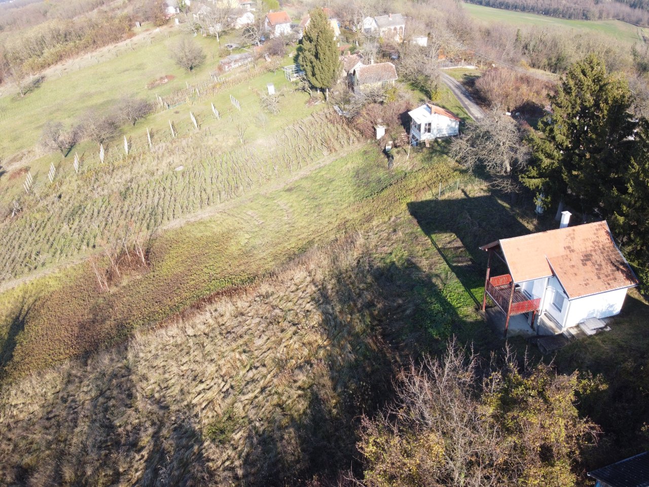 DJI, photo 21 of 30