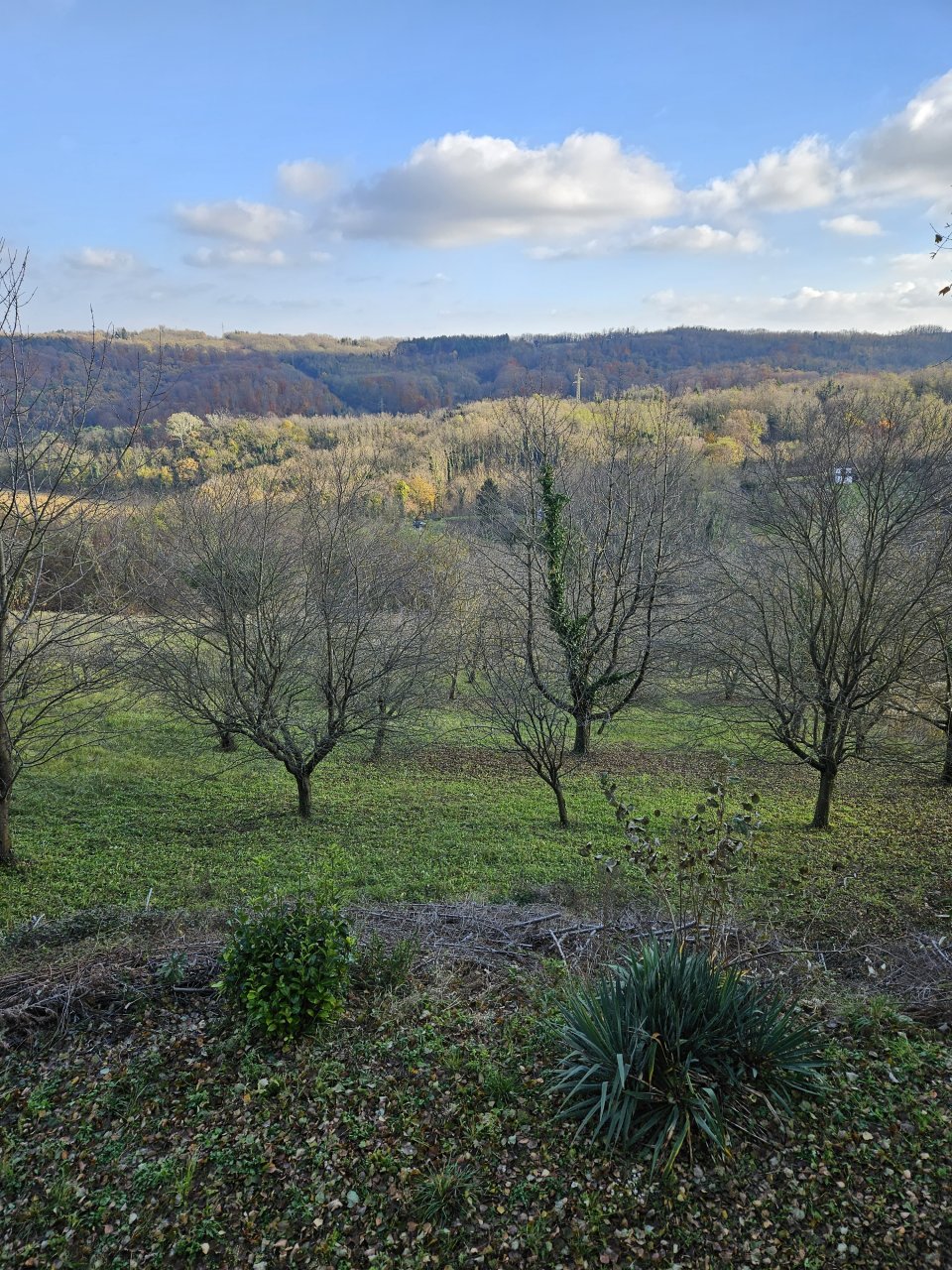 (ABAB) Enormous development potential with panoramic views over Zalaegerszeg, photo 28 of 30