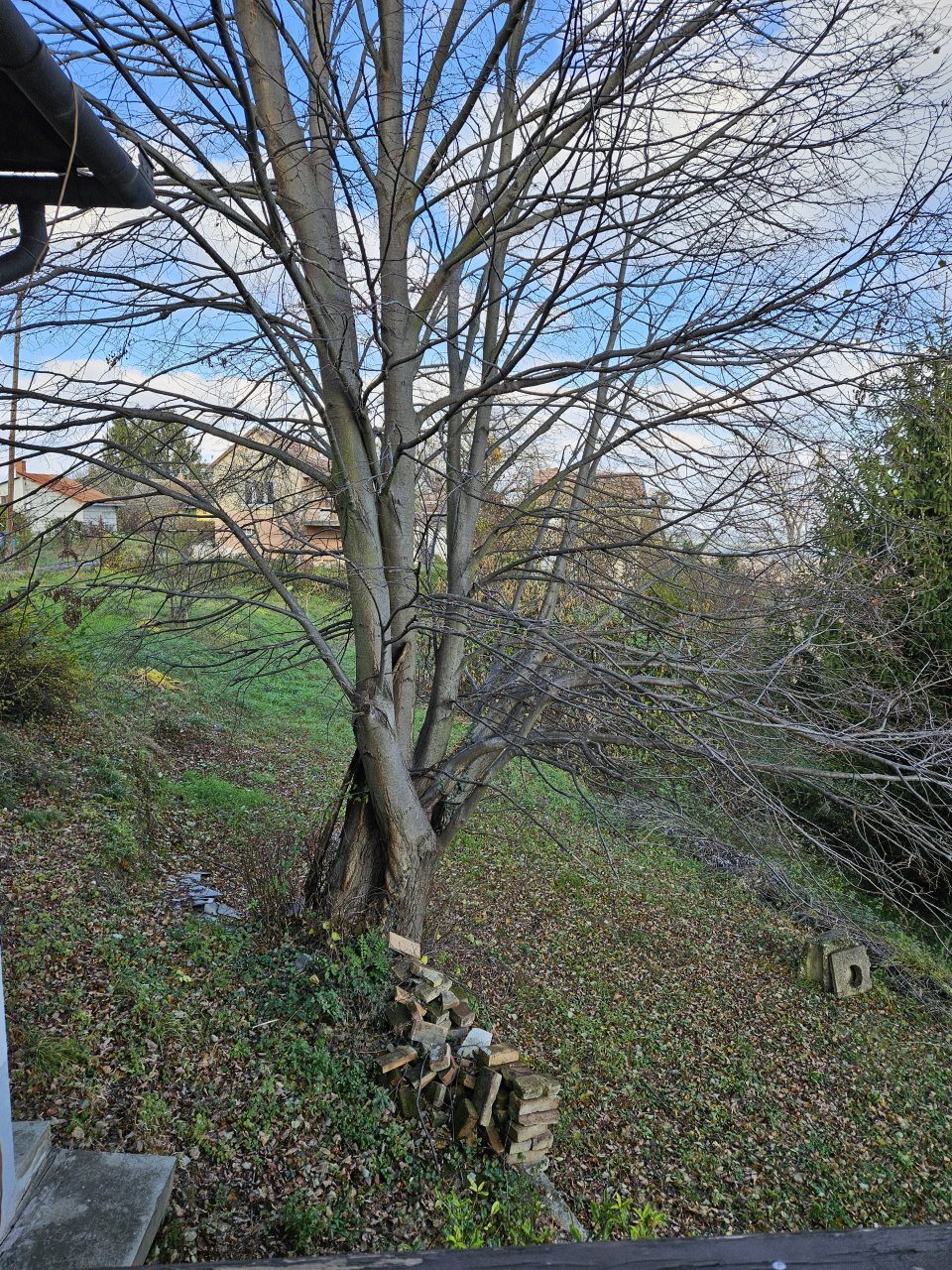 (ABAB) Óriási fejlesztési potenciál zalaegerszegi panorámával, 29/30. kép
