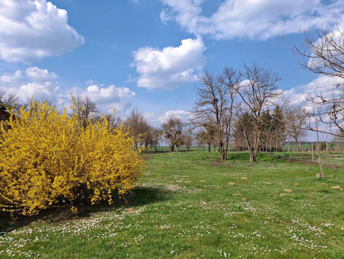 Ebenerdiges & breites Baugrundstück in friedlicher Lage mit Brunnen – Mikosszéplak, Bild 3 von 6