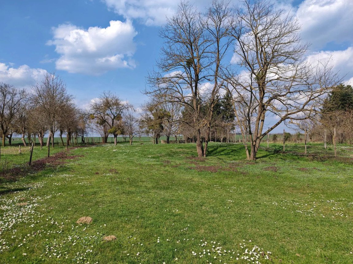 Ebenerdiges & breites Baugrundstück in friedlicher Lage mit Brunnen – Mikosszéplak, Bild 6 von 6