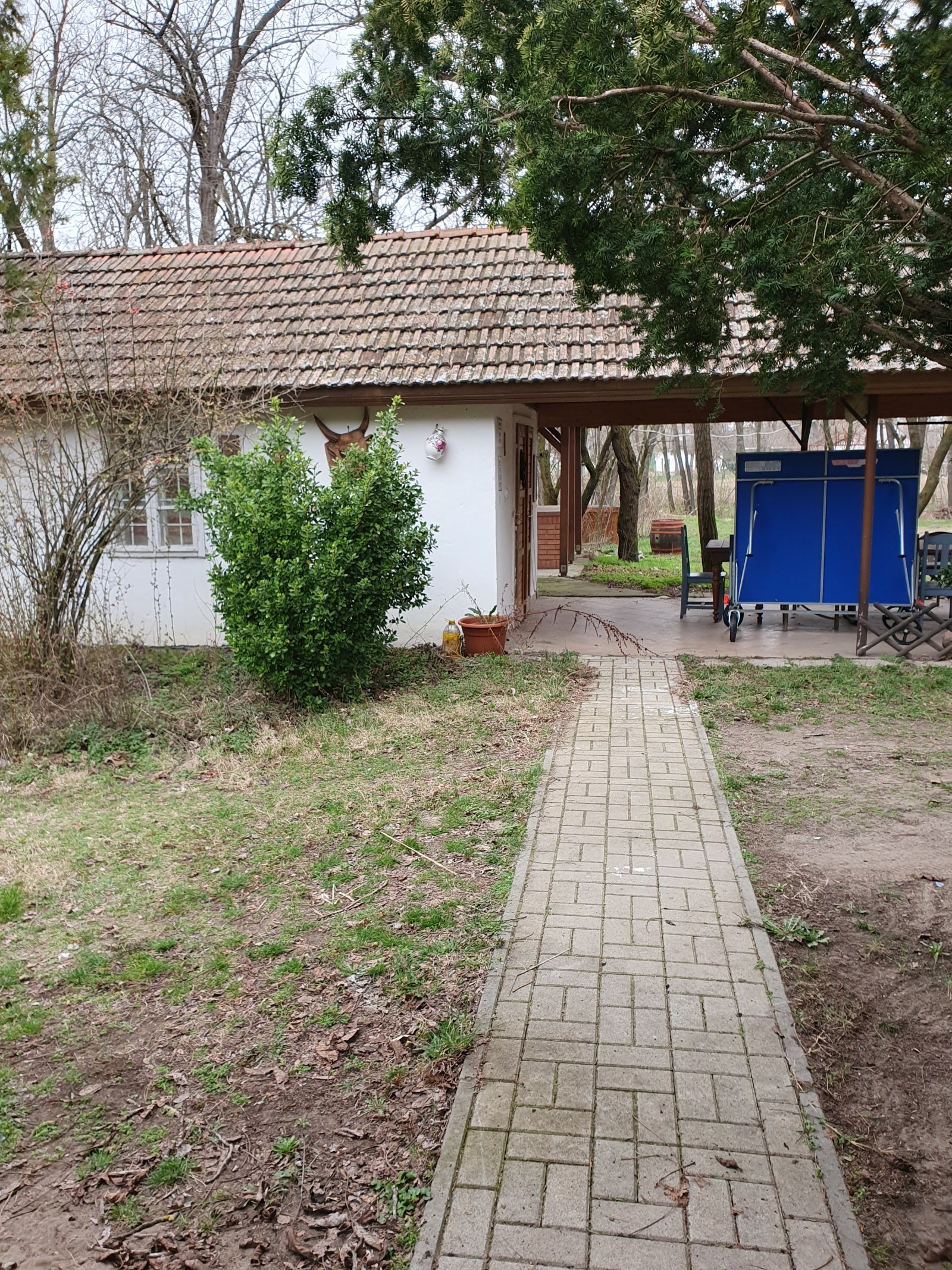 (AAA-) családi ház tóval és nagy ingatlannal csendes helyen – Ruzsa, 28/71. kép