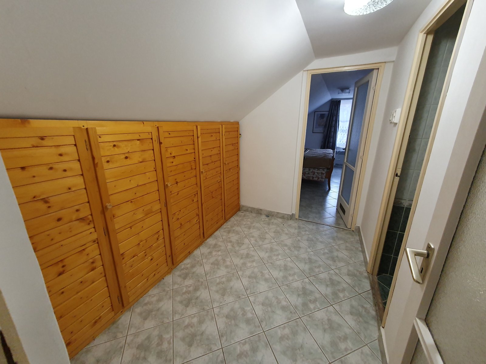 (AAA-) családi ház tóval és nagy ingatlannal csendes helyen – Ruzsa, 52/71. kép