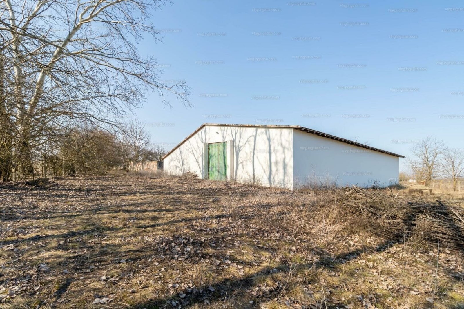 hd, foto 40 van 47