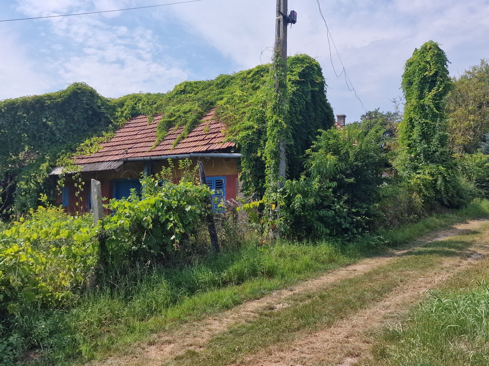 (ABAB) Parasztház csendes helyen – Nemesszentandrás, 8/27. kép