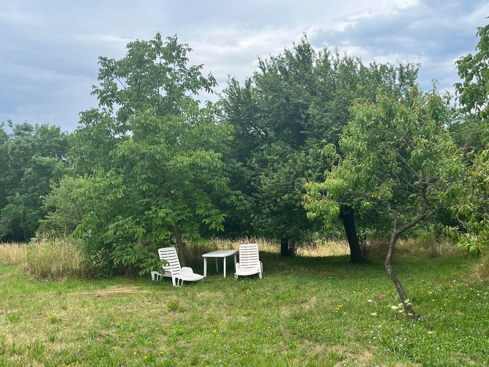 (ACA) Weinberghaus mit Balatonblick & traumhaftem Grundstück bei Héviz – Alsópáhok, Bild 9 von 21