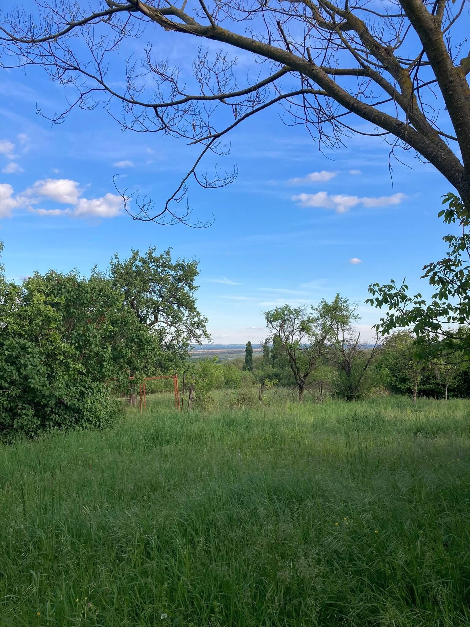 (ACA) Weinberghaus mit Balatonblick & traumhaftem Grundstück bei Héviz – Alsópáhok, Bild 11 von 21