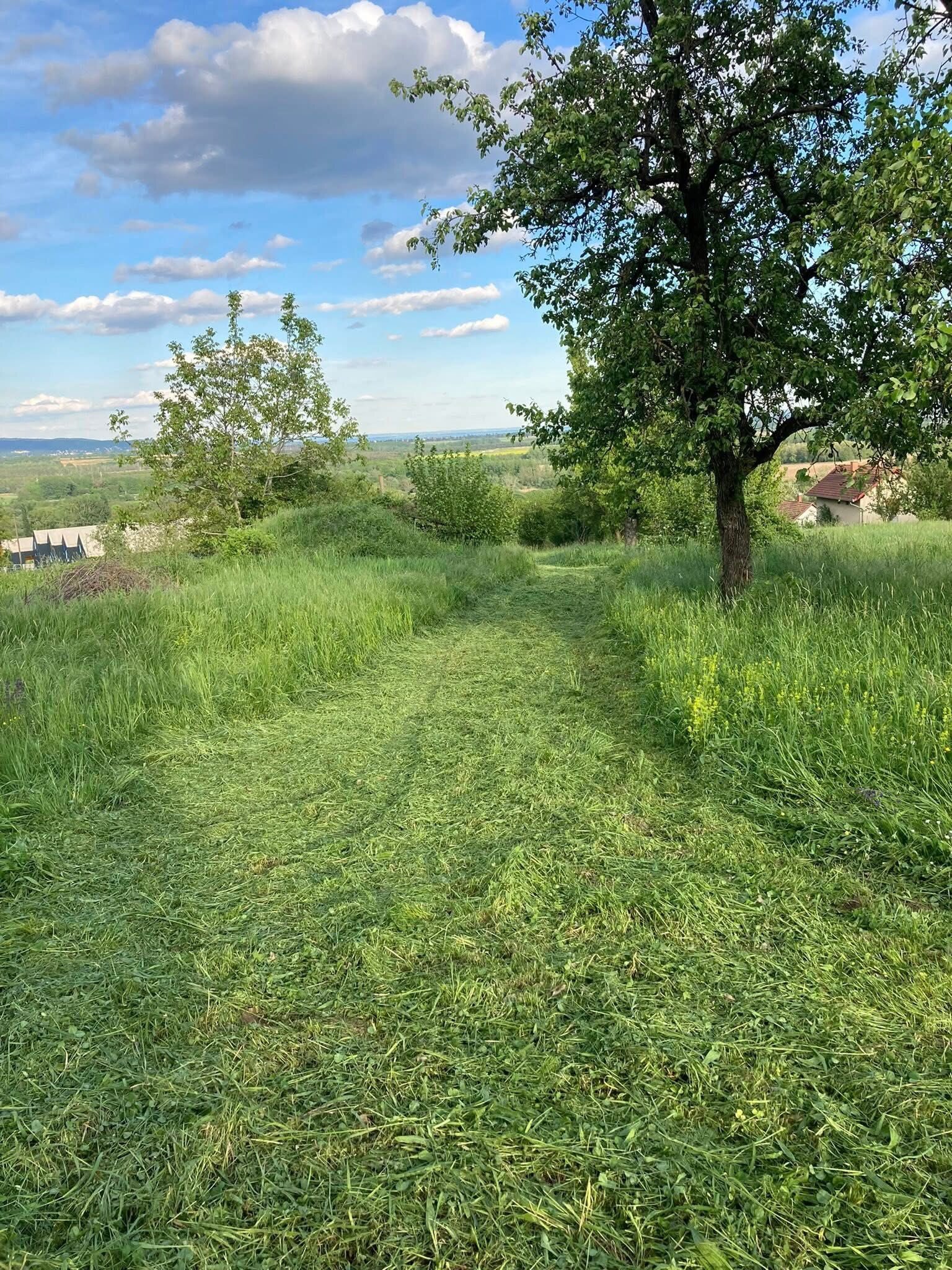 (ACA) Weinberghaus mit Balatonblick & traumhaftem Grundstück bei Héviz – Alsópáhok, Bild 18 von 21