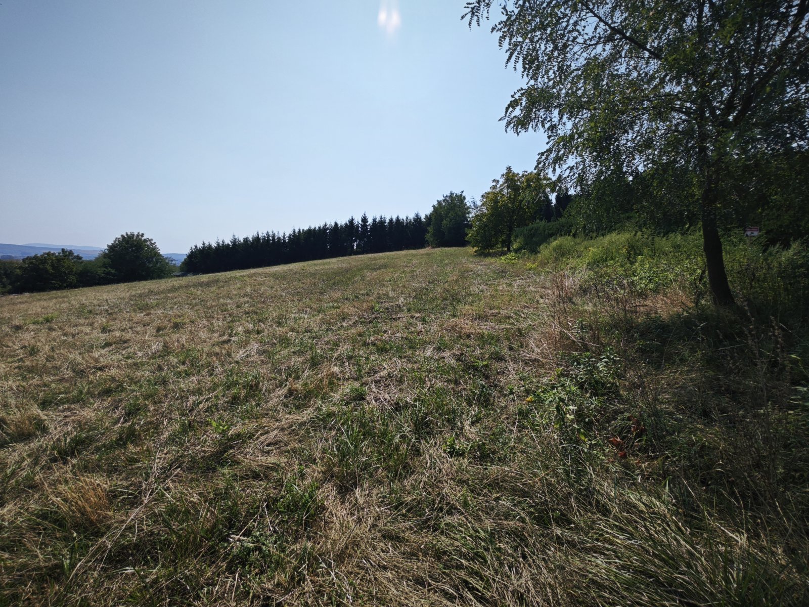 Grosses Grundstück oberhalb von Zalaszentgrot mit Fernsicht – Zalaszentgrót, Bild 4 von 8