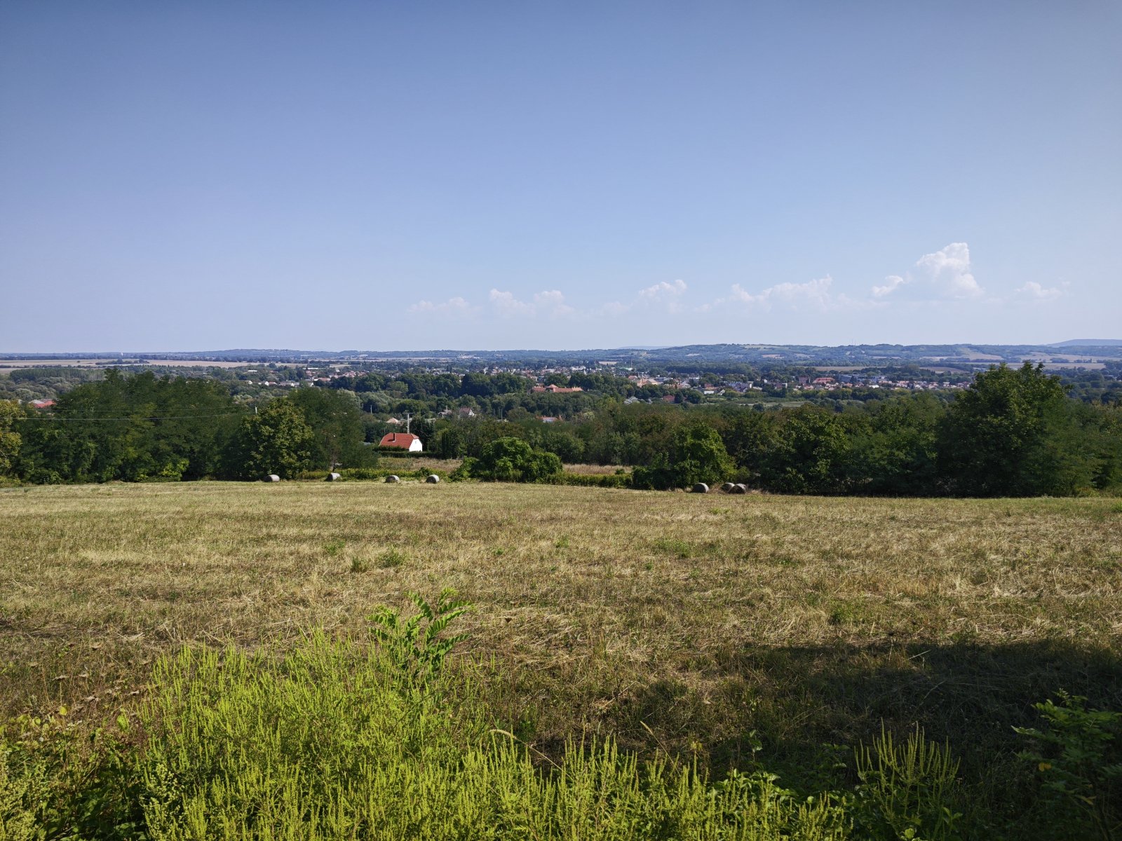 Grosses Grundstück oberhalb von Zalaszentgrot mit Fernsicht – Zalaszentgrót, Bild 6 von 8