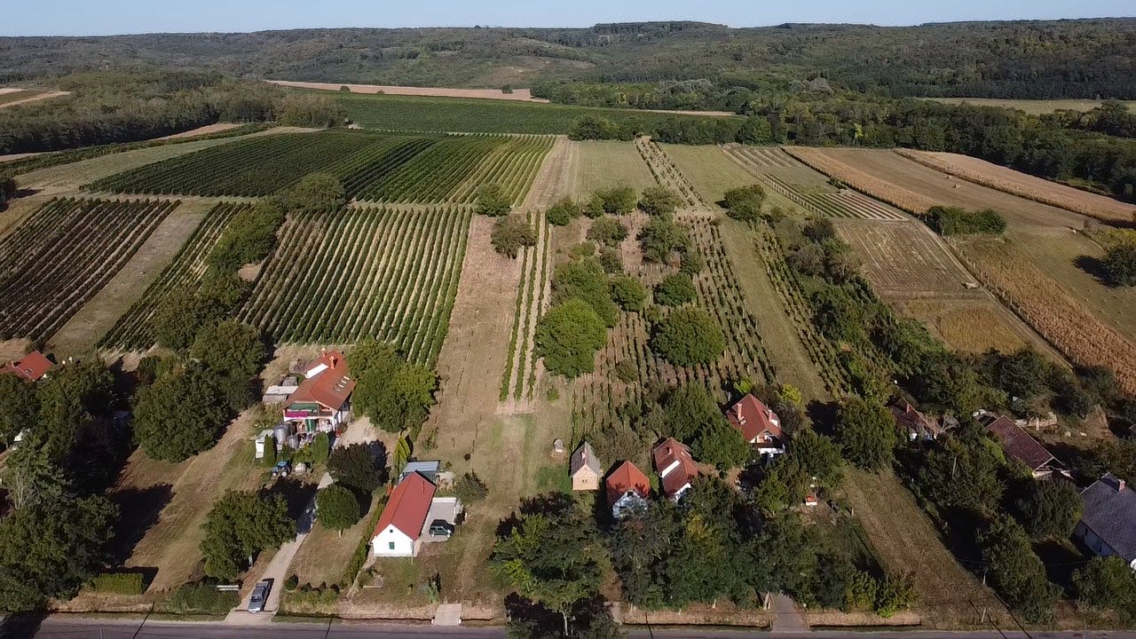 Completely renovated vineyard country house near Lake Balaton in Hungary – Szőlősgyörök, photo 1 of 32