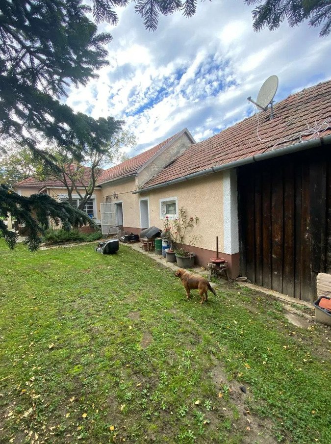 (AAA) Saniertes Landhaus mit schön eingewachsenem Grundstück in Westungarn – Pápa, Bild 29 von 51