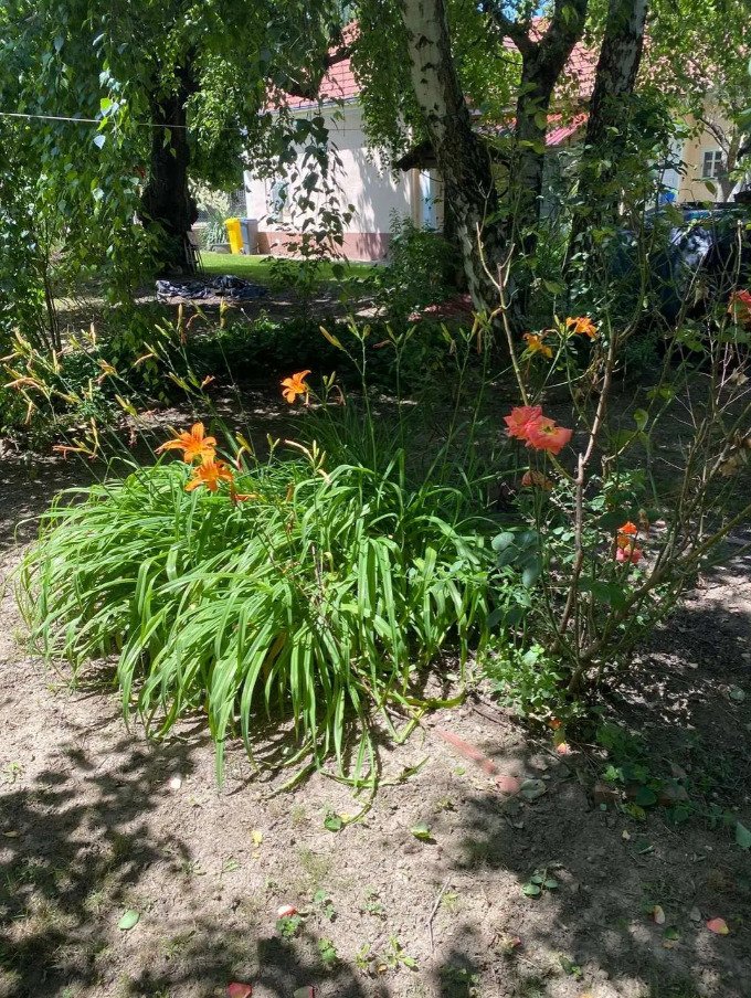 (AAA) Saniertes Landhaus mit schön eingewachsenem Grundstück in Westungarn – Pápa, Bild 33 von 51