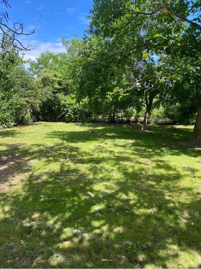 (AAA) Saniertes Landhaus mit schön eingewachsenem Grundstück in Westungarn – Pápa, Bild 37 von 51