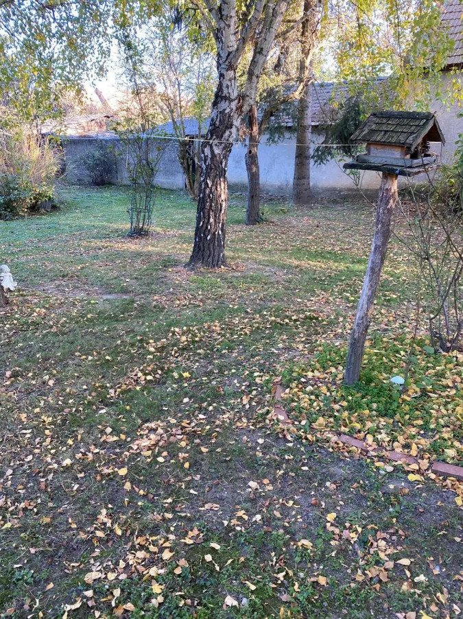 (AAA) Saniertes Landhaus mit schön eingewachsenem Grundstück in Westungarn – Pápa, Bild 39 von 51