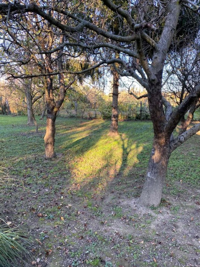 (AAA) Saniertes Landhaus mit schön eingewachsenem Grundstück in Westungarn – Pápa, Bild 40 von 51
